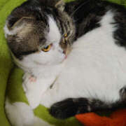 ヒメ日記 2025/11/28 11:50 投稿 せつな 奥鉄オクテツ神奈川店（デリヘル市場グループ）