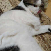 ヒメ日記 2025/12/13 16:30 投稿 せつな 奥鉄オクテツ神奈川店（デリヘル市場グループ）