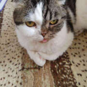 ヒメ日記 2025/12/14 13:15 投稿 せつな 奥鉄オクテツ神奈川店（デリヘル市場グループ）