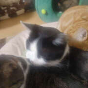 せつな 今日も暑いです☀️ 奥鉄オクテツ神奈川店（デリヘル市場グループ）