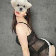 ヒメ日記 2025/04/05 14:10 投稿 あかり 体感サロン マチルダとベロニカ