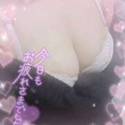 ヒメ日記 2026/01/15 23:45 投稿 もあ 多恋人倶楽部（山口）