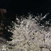 ヒメ日記 2025/05/02 23:29 投稿 えま スピード梅田店