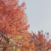 ヒメ日記 2025/06/10 12:39 投稿 えま スピード梅田店