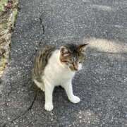 ヒメ日記 2025/10/08 18:14 投稿 えま スピード梅田店