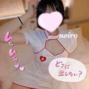 ヒメ日記 2024/12/10 17:31 投稿 ねいろ SPIN(スピン)