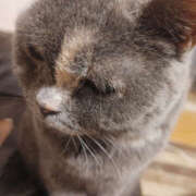 ヒメ日記 2025/01/04 14:55 投稿 せつな 奥鉄オクテツ東京店（デリヘル市場）