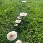 ヒメ日記 2025/07/22 03:27 投稿 さくら『ぽっちゃりコース』 素人学園＠