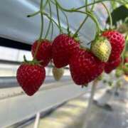 ヒメ日記 2026/03/02 12:48 投稿 さくら『ぽっちゃりコース』 素人学園＠