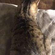 ヒメ日記 2024/12/11 01:04 投稿 はるか 川越おかあさん