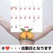 ヒメ日記 2024/12/16 21:38 投稿 鈴蘭（すずらん） PLUS十三店