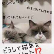 ヒメ日記 2025/01/06 12:14 投稿 鈴蘭（すずらん） PLUS十三店