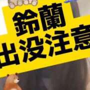 ヒメ日記 2025/01/17 07:18 投稿 鈴蘭（すずらん） PLUS十三店