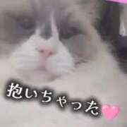 ヒメ日記 2025/01/19 20:08 投稿 鈴蘭（すずらん） PLUS十三店