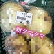 ヒメ日記 2025/07/03 07:28 投稿 鈴蘭（すずらん） PLUS十三店