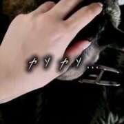 ヒメ日記 2025/07/08 19:18 投稿 鈴蘭（すずらん） PLUS十三店