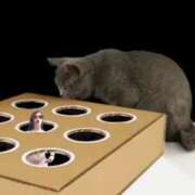 ヒメ日記 2025/07/14 05:18 投稿 鈴蘭（すずらん） PLUS十三店