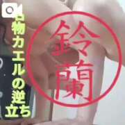 ヒメ日記 2025/07/18 08:15 投稿 鈴蘭（すずらん） PLUS十三店