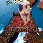 ヒメ日記 2025/10/08 12:50 投稿 鈴蘭（すずらん） PLUS十三店