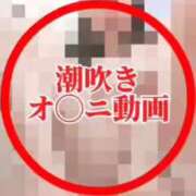 ヒメ日記 2025/10/25 07:48 投稿 鈴蘭（すずらん） PLUS十三店