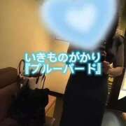 ヒメ日記 2025/10/28 17:58 投稿 鈴蘭（すずらん） PLUS十三店