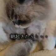 ヒメ日記 2025/11/02 03:28 投稿 鈴蘭（すずらん） PLUS十三店