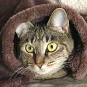 ヒメ日記 2024/12/31 11:41 投稿 はるか 大宮おかあさん