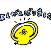 ヒメ日記 2025/08/12 17:26 投稿 はるか 大宮おかあさん