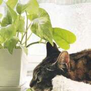 ヒメ日記 2025/10/18 21:46 投稿 はるか 大宮おかあさん