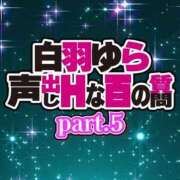 ヒメ日記 2024/09/16 21:16 投稿 白羽ゆら HYPER TOKYO