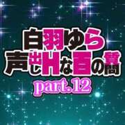 ヒメ日記 2024/10/02 21:26 投稿 白羽ゆら HYPER TOKYO