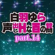 ヒメ日記 2024/10/06 17:06 投稿 白羽ゆら HYPER TOKYO