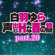 白羽ゆら 最終回🥺 HYPER TOKYO