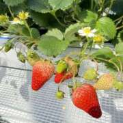 ヒメ日記 2025/01/05 23:54 投稿 吉沢 AROMA VENUS