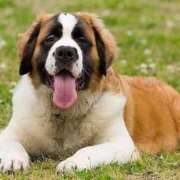 ヒメ日記 2025/01/27 17:58 投稿 吉沢 AROMA VENUS