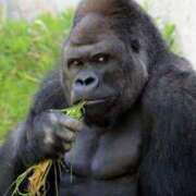 ヒメ日記 2025/02/10 15:55 投稿 吉沢 AROMA VENUS