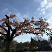 ヒメ日記 2025/03/21 16:05 投稿 吉沢 AROMA VENUS