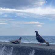 ヒメ日記 2025/04/01 13:49 投稿 吉沢 AROMA VENUS