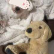 ヒメ日記 2025/04/15 19:49 投稿 吉沢 AROMA VENUS