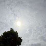 ヒメ日記 2025/05/18 08:59 投稿 吉沢 AROMA VENUS