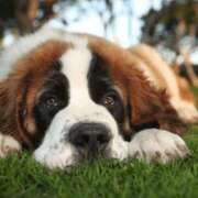 ヒメ日記 2025/07/07 06:48 投稿 吉沢 AROMA VENUS