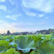 ヒメ日記 2025/08/12 17:12 投稿 吉沢 AROMA VENUS