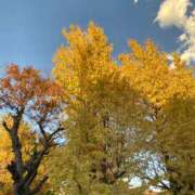 ヒメ日記 2025/09/15 17:29 投稿 吉沢 AROMA VENUS