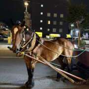 ヒメ日記 2026/01/02 17:39 投稿 吉沢 AROMA VENUS