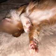 ヒメ日記 2026/01/11 15:55 投稿 吉沢 AROMA VENUS