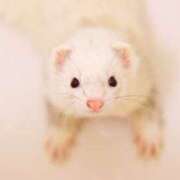 ヒメ日記 2026/01/16 16:32 投稿 吉沢 AROMA VENUS