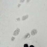 ヒメ日記 2026/02/08 11:48 投稿 吉沢 AROMA VENUS