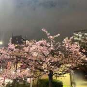 ヒメ日記 2026/02/17 20:07 投稿 吉沢 AROMA VENUS