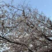 ヒメ日記 2026/03/28 13:51 投稿 吉沢 AROMA VENUS