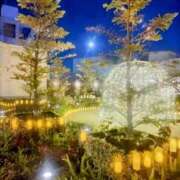 ヒメ日記 2024/12/18 12:57 投稿 ちか 成田人妻花壇